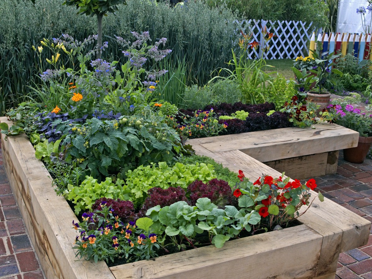 Companion Planting for Vegetables