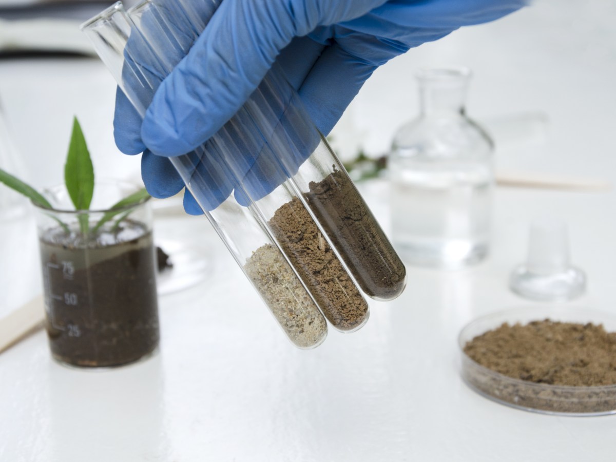 Why you need a soil test