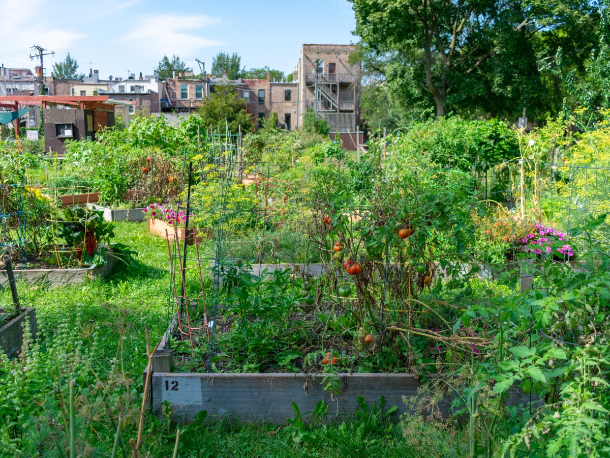 Community Gardener’s Checklist